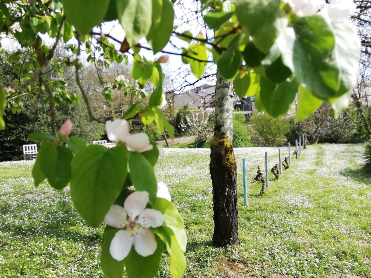 La Verrerie Gaillac Eksteriør bilde